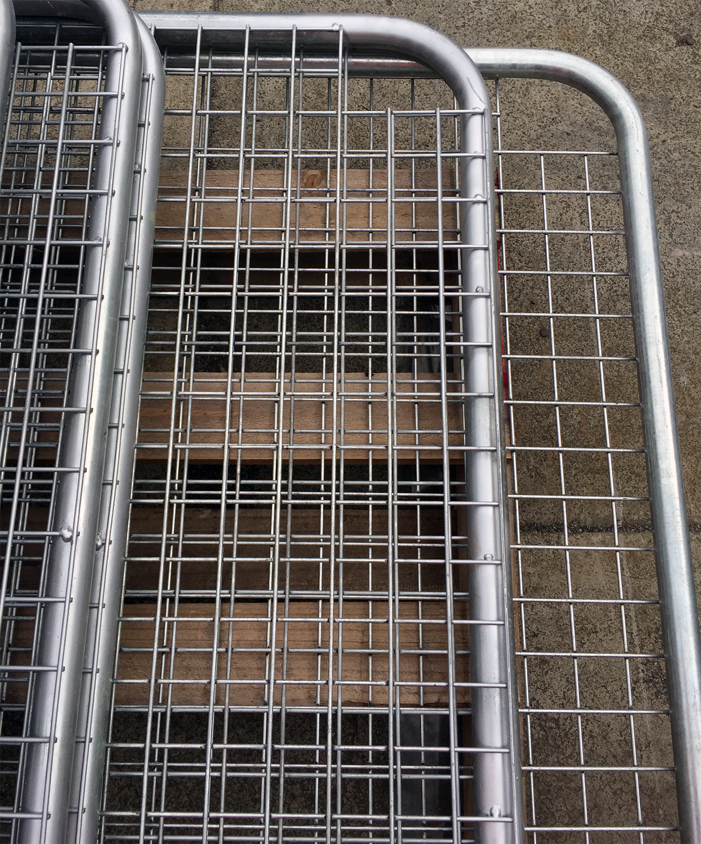 Farm Gate 'BARRA' Horse Mesh