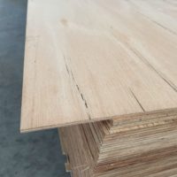 Bracing Plywood Hardwood F22/27 4mm