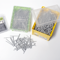 Nails Galvanised Flat Head 500GRAMS