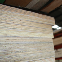 Marine Hardwood Plywood